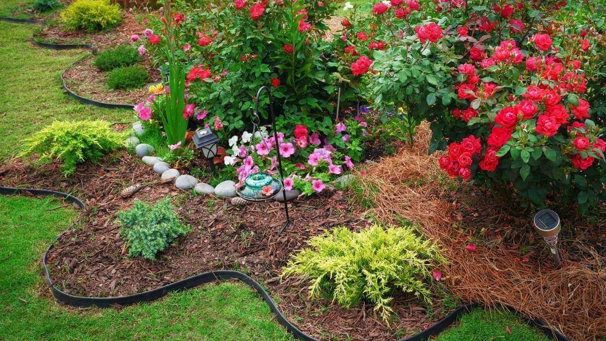 Durable Lawn Edging Ideas: Transform Your Yard with Lasting Style