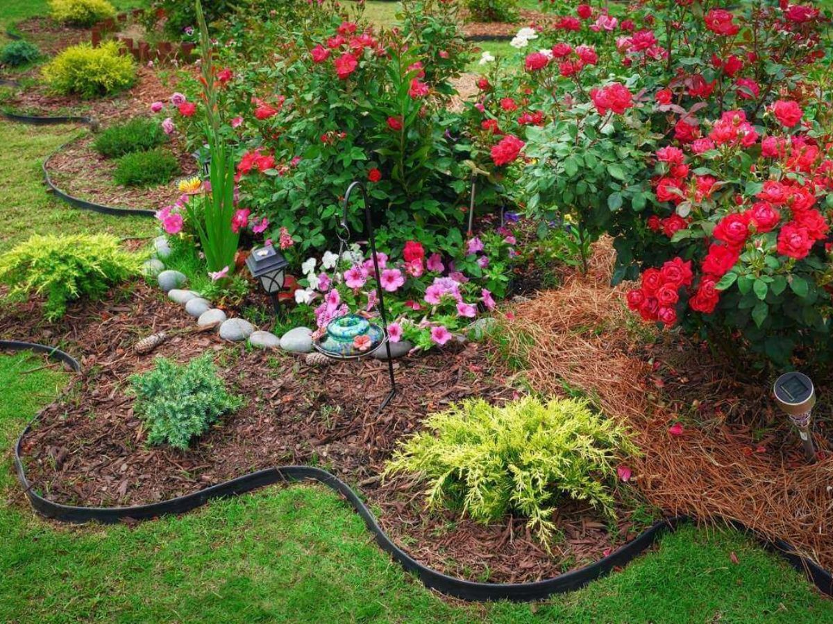 Lawn Edging Design Ideas: Transform Your Garden Today