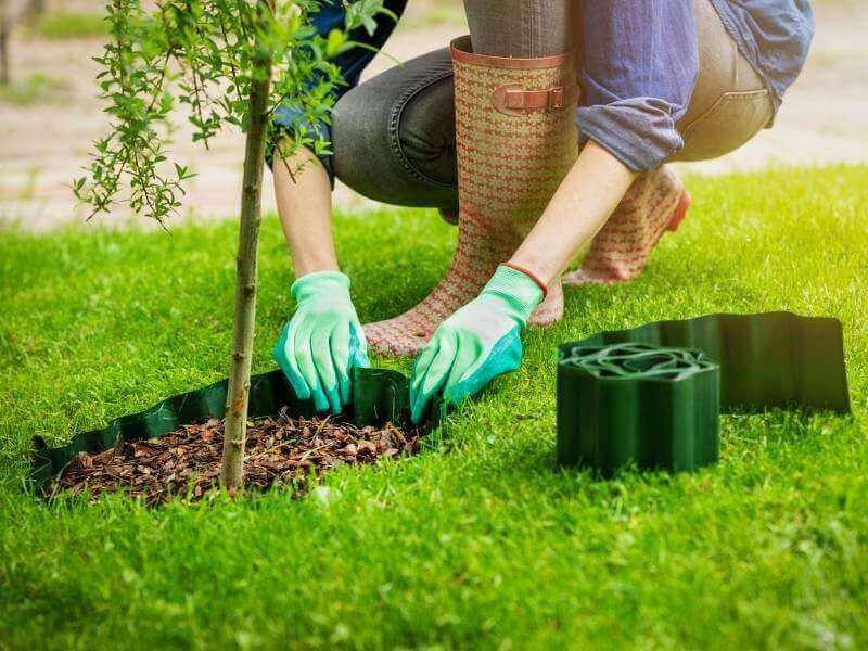 Plastic Garden Edging