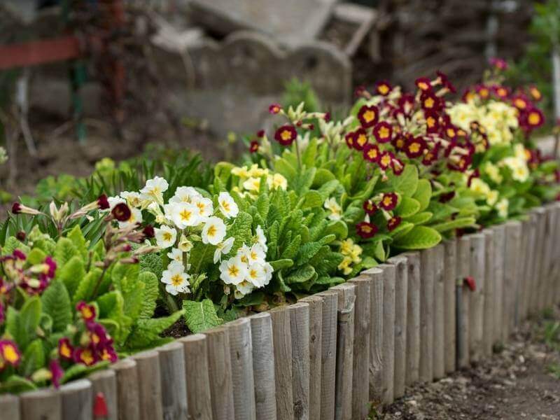 wooden garden edging