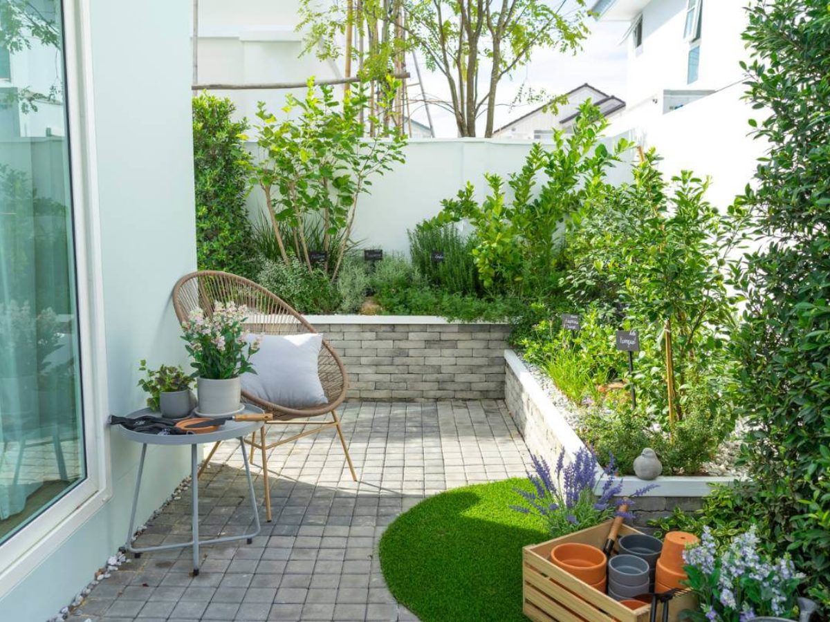 Small London Garden Design Ideas