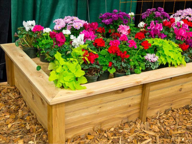 raised-beds-and-planters