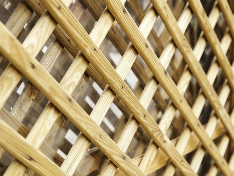 trellis-fence-panels